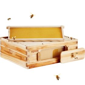 Bee Hive Medium Box Starter Kit, 100% Beeswax Coated Natural Fir Wood, Langstroth Beehive Kit with 10 Frames and Foundations