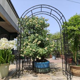 Metal Garden Arch L59'' x W17.71'' x H90.55'' Climbing Plants Support Rose Arch Outdoor Black